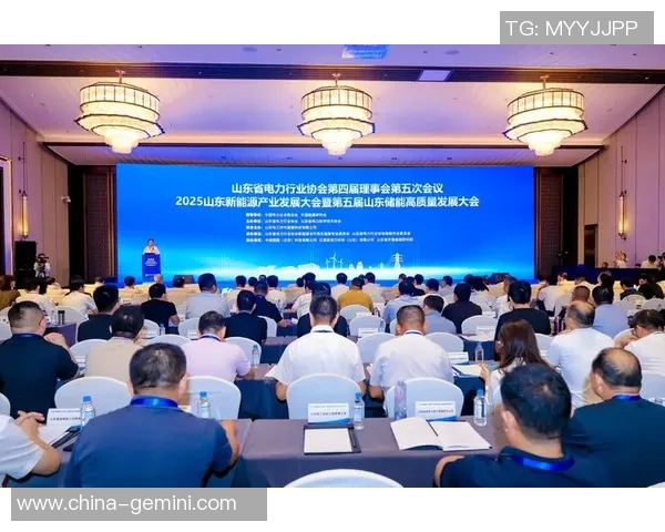 张昊在科技创新领域的探索与成就：推动未来发展的新动力