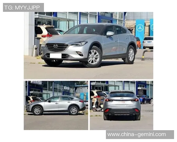 富山松鸡与横滨海盗的精彩对决谁能在赛场上笑到最后 富山松鸡与横滨海盗的精彩对决谁能在赛场上笑到最后