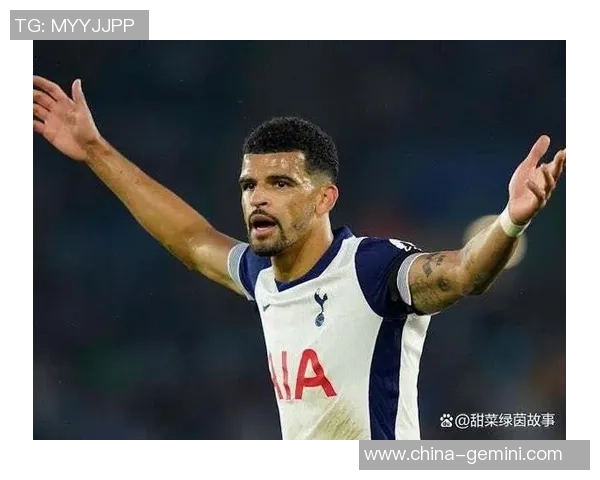 热刺与莱斯特城对决赛程安排及赛事前瞻分析