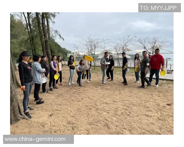 深圳飞盘队的团队协作与默契配合探讨聚焦飞盘运动的魅力与挑战